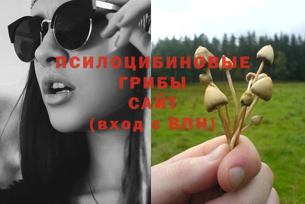PSILOCYBIN Алзамай