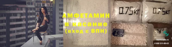 PSILOCYBIN Алзамай
